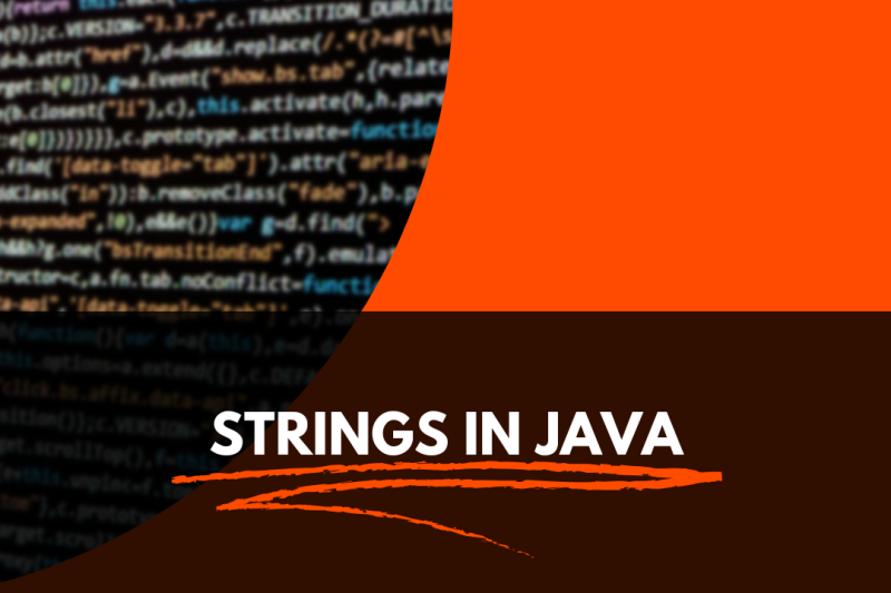 STRINGS IN JAVA